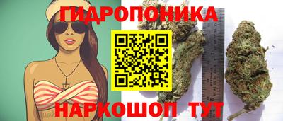 спиды Коммунар